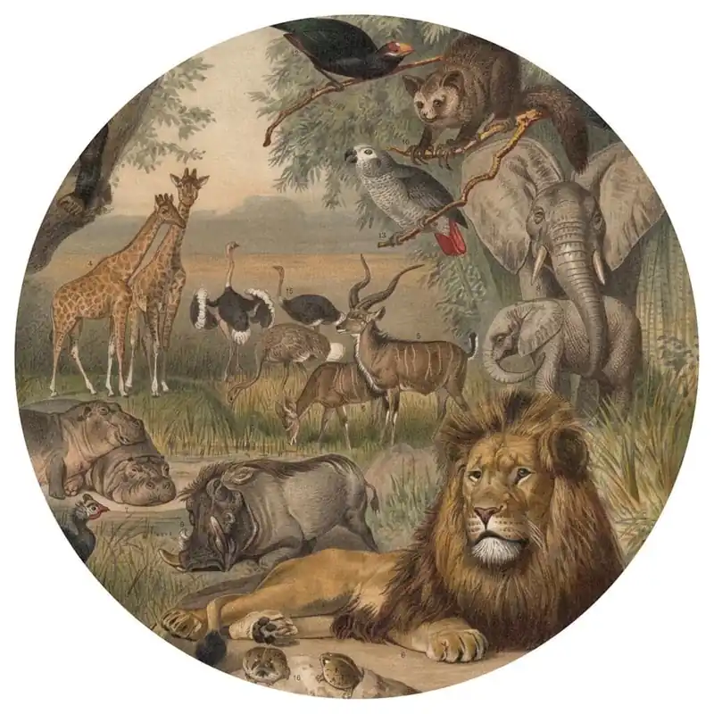 WallArt Tapetti ympyrä Animals of Africa 190 cm Suoraan Valmistajalta
